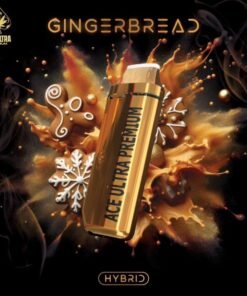 GINGERBREAD|HYBRID