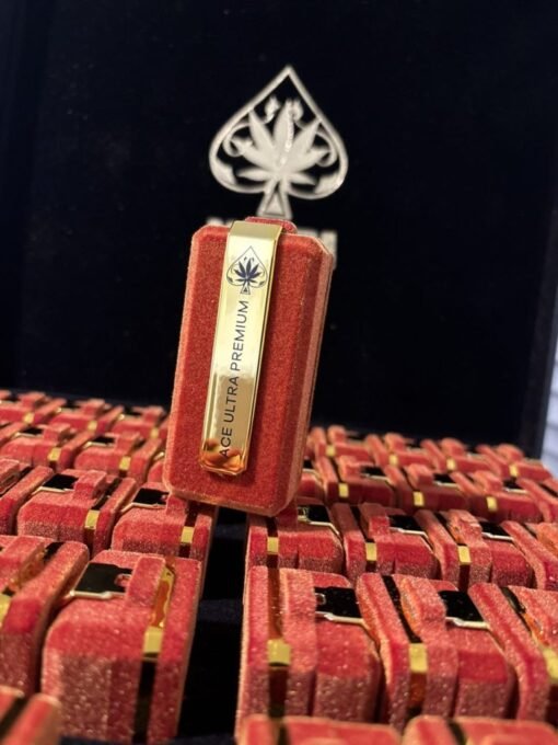 ROSE SERENADE | INDICA